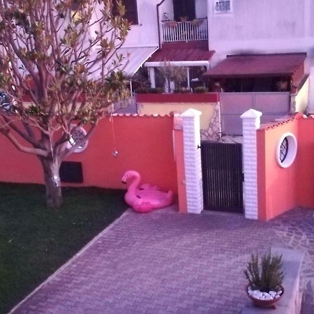 טורביאניקה Orange Holiday Home מראה חיצוני תמונה